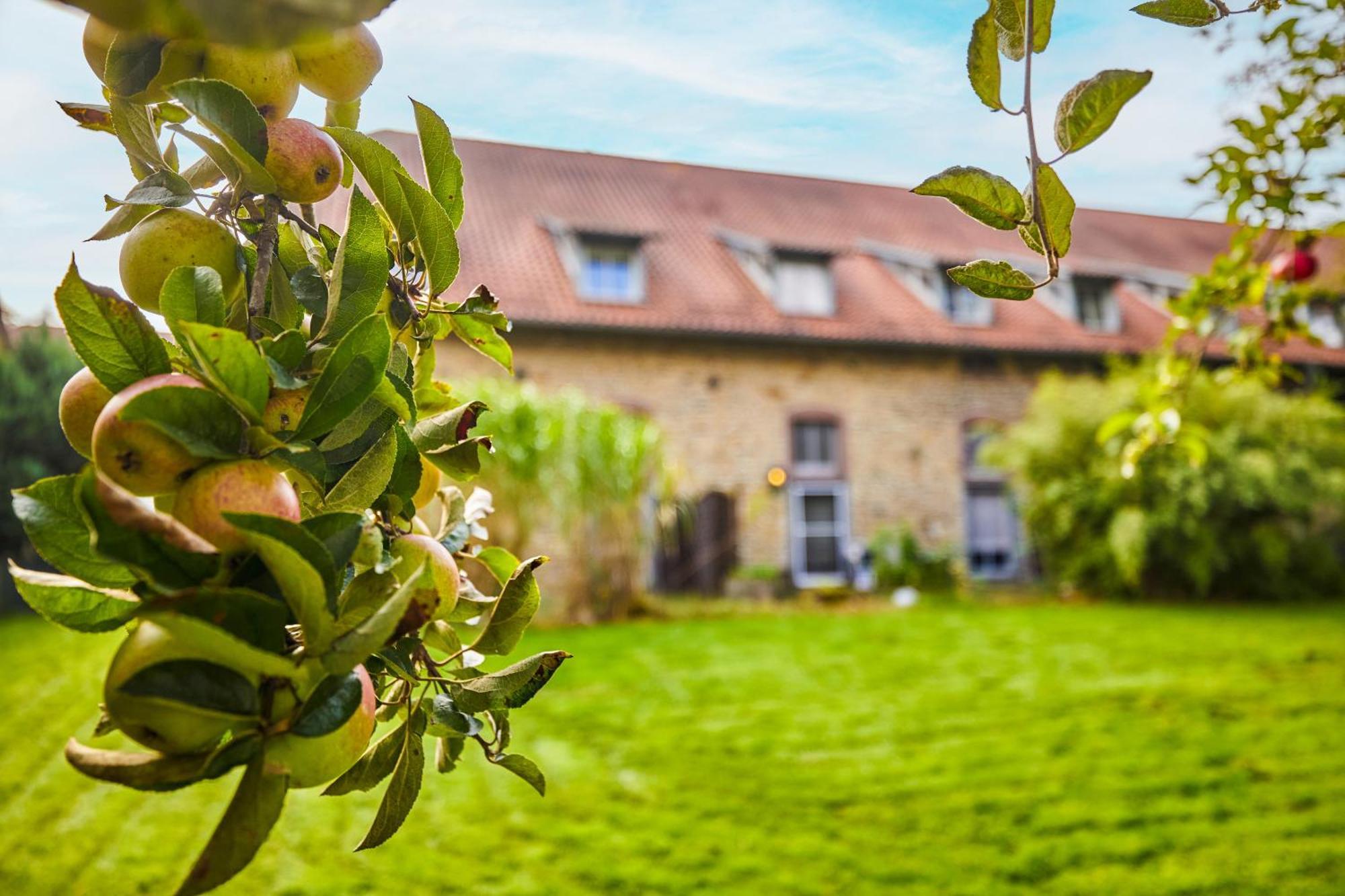 Landhaus Schieder Exteriör bild